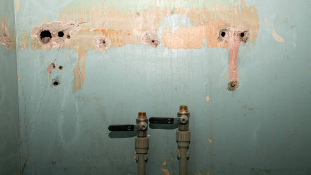  Norfolk, VA Water damage restoration Pros