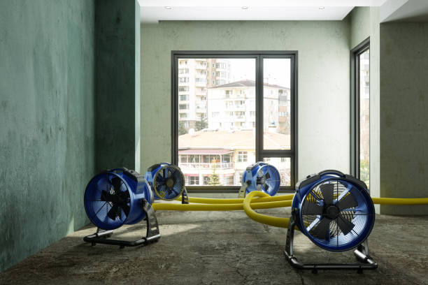 Best 24-hour water damage restoration  in Norfolk, VA
