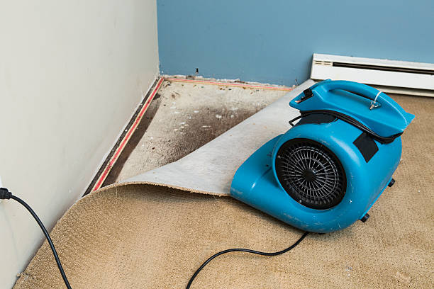 24/7 water damage repair in Norfolk, VA